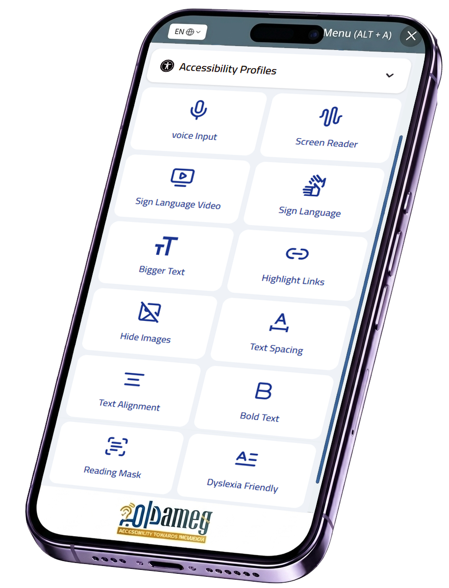 Dameg Accessibility Widget Interface